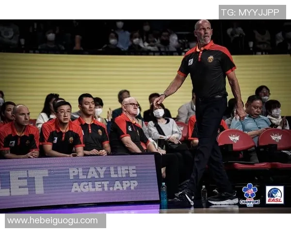 杭州羽毛球队战术变革引发热议新策略助力竞技水平提升